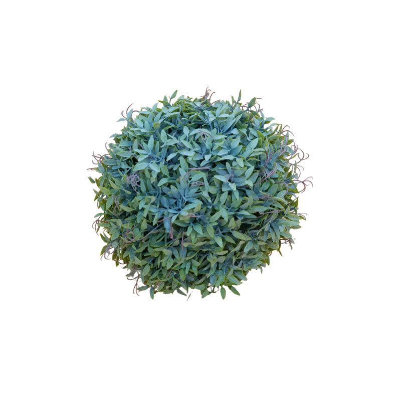 Tendriliptis Ball